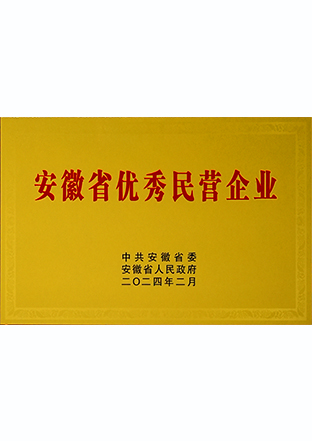 安徽省百名優(yōu)秀民營企業(yè)